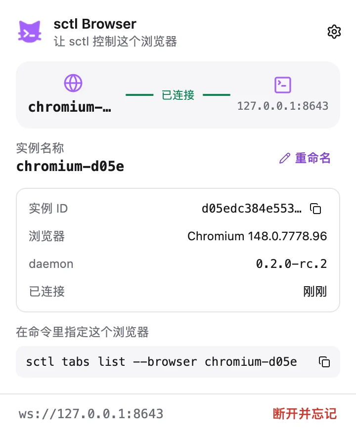 sctl Browser 弹窗：已连接状态与实例信息